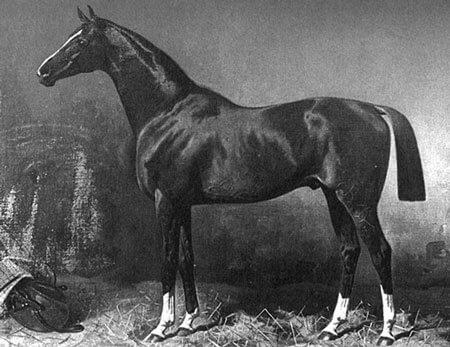 Hanoverian