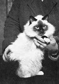 Birman